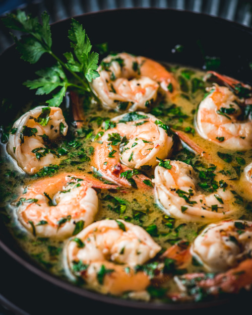 daily-deliciousness: The best homemade shrimp scampi