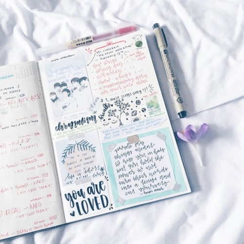 studyy-bells:some of my old planner spreads kahoot, enjoy :)- currently playing: adieu - slimane