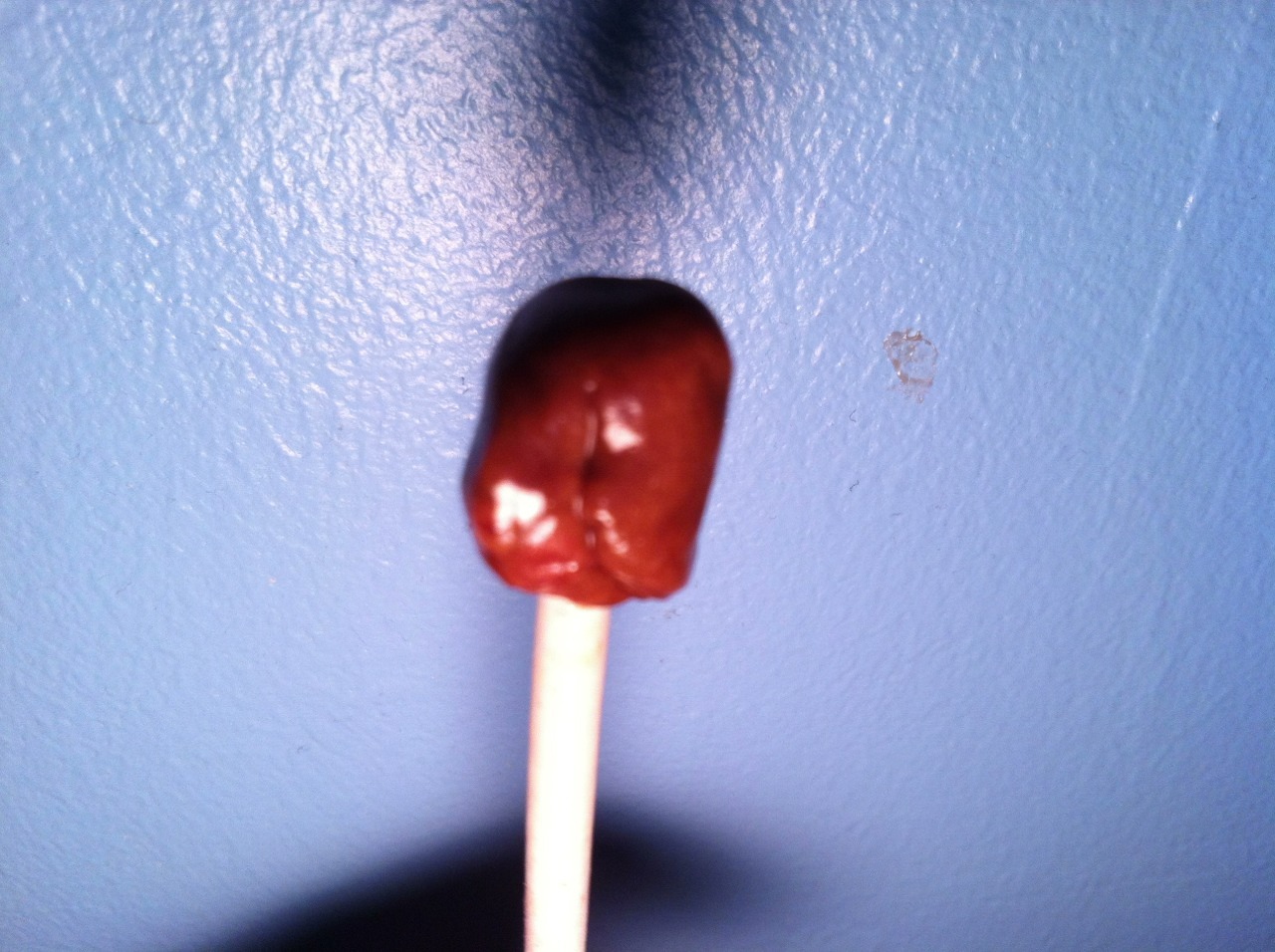 dweebscar:   mycroftthequeen:  mycroftthequeen:  IT TAKES 681 LICKS TO GET TO THE