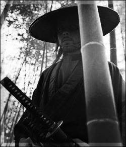 samuraitears:  The Ronin Spirit is black.