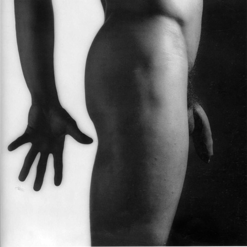 vivipiuomeno:  Robert Mapplethorpe ph. - Untitled (male nude). 1981