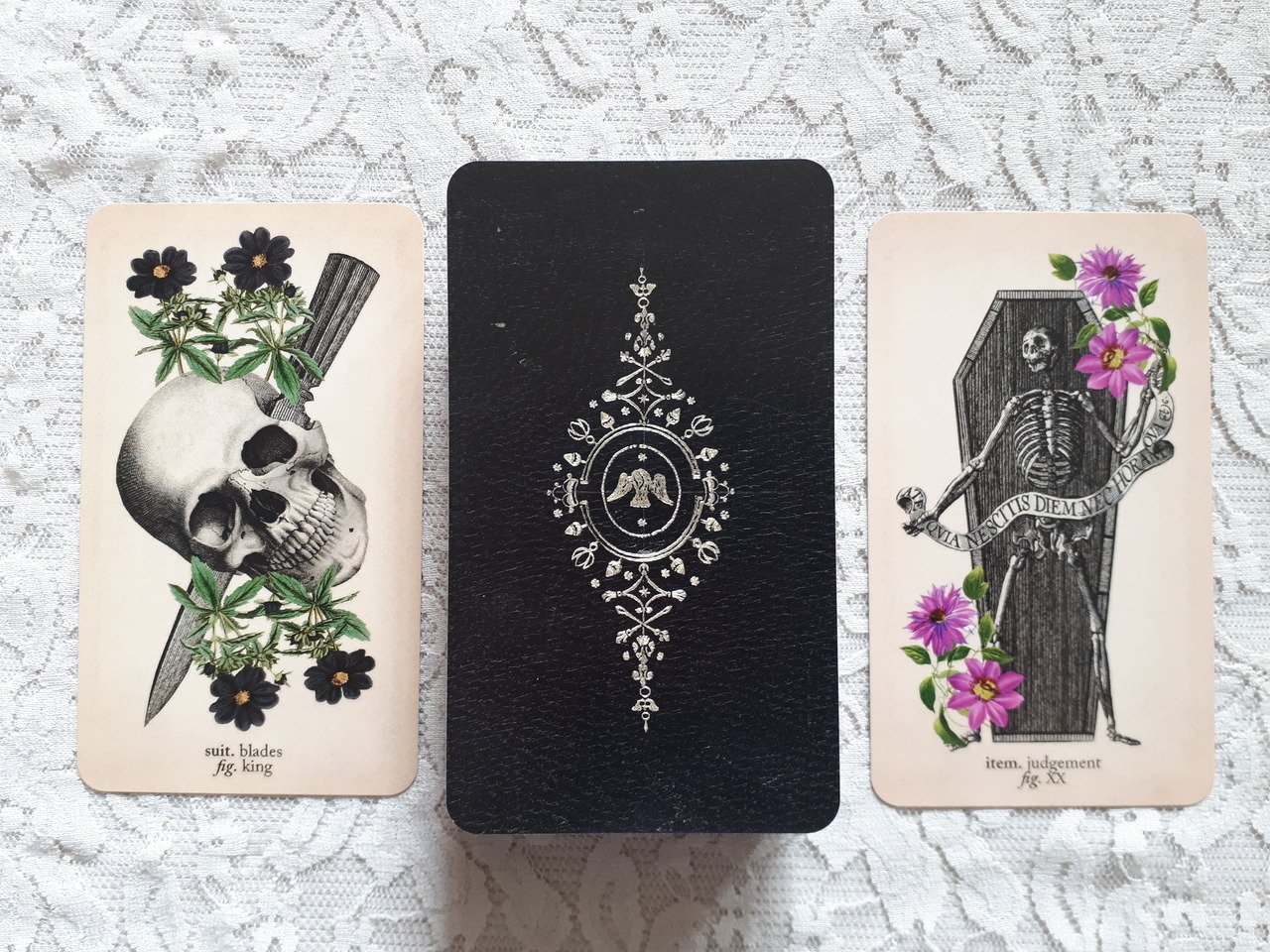 The Antique Anatomy Tarot - A Review — Patchwork Soul