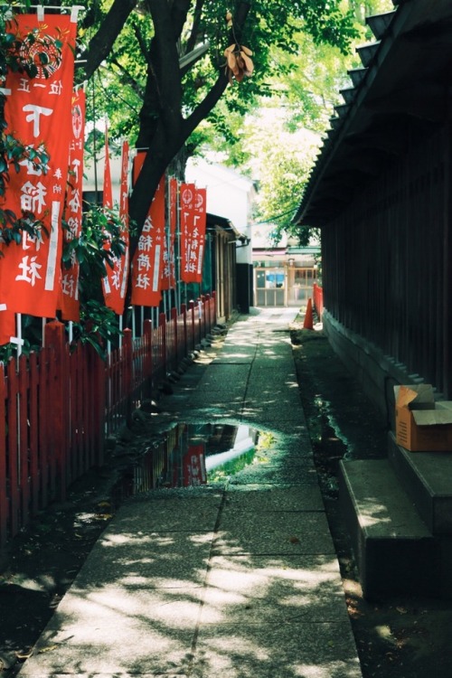 2017.5.2 下谷神社