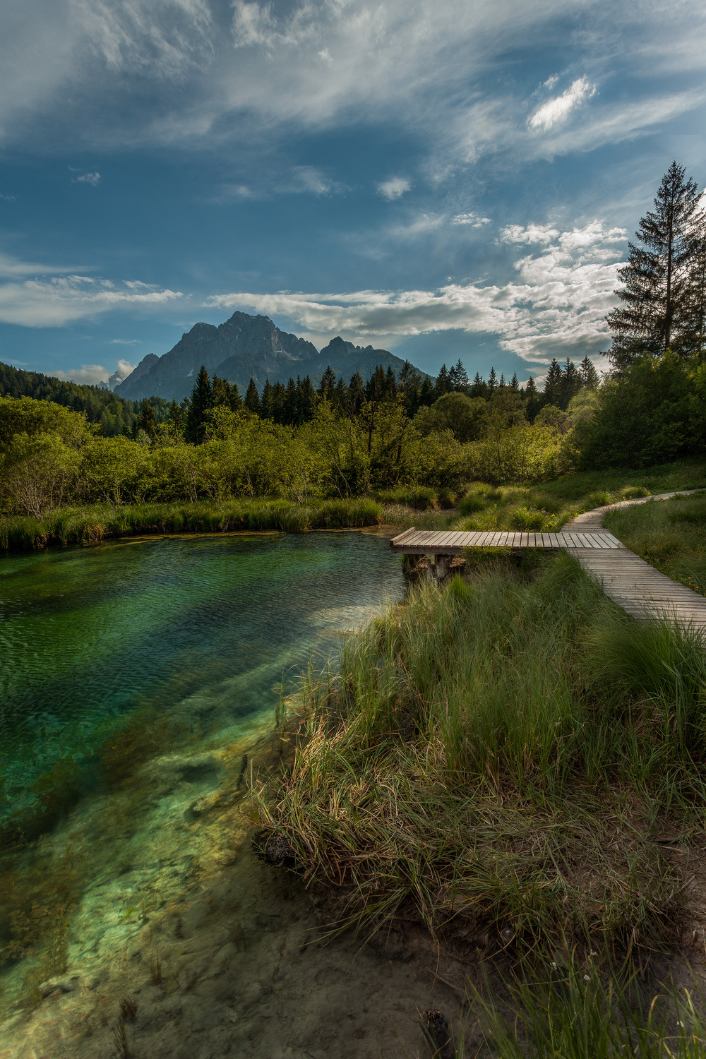 renamonkalou:  Last rays of the day |   BorZelenci spring ~ Triglav national park