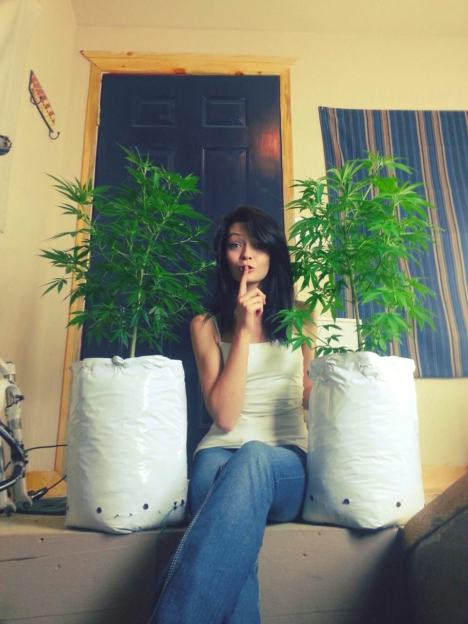 coloradogoddess:  My babies