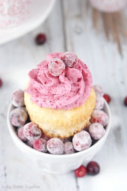 fullcravings:White Chocolate Cranberry Cupcakes