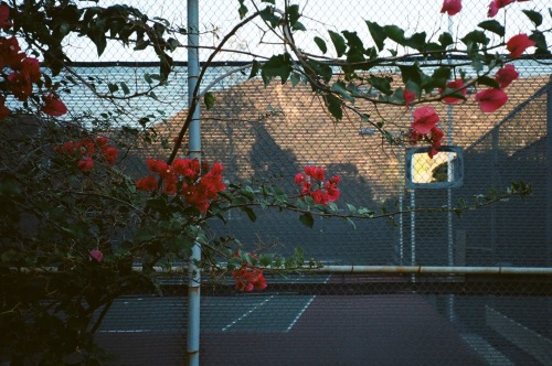 pauljasonklein: photo journal: film for LANY.