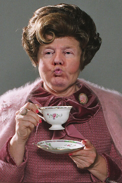 marauder-narnian:  dogstar-mcwerewolf:  skepticalporcupine:  sarlione:  skepticalporcupine:  can someone photoshop donald trump’s face on dolores umbridge   Here you are: Trumbridge.  THANK YOU  I have no idea why, but I wanted to make my own Donores