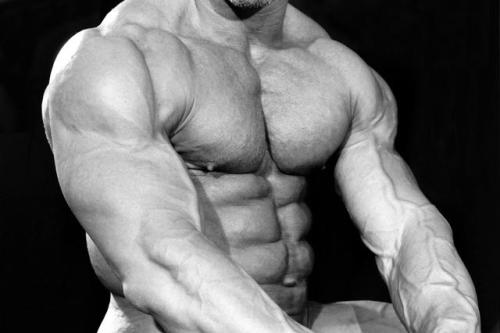 Joe Catania