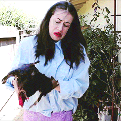 youholyfool:  me trying to pet a chicken . 