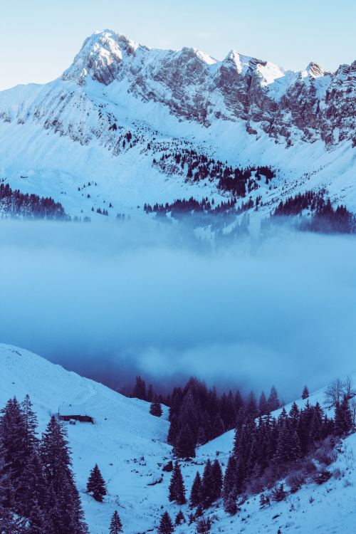 expressions-of-nature: by the vertical story