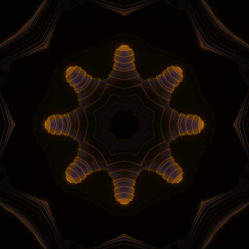 jesuisrien-e:  protobacillus:   Hydromedusa     Negative space