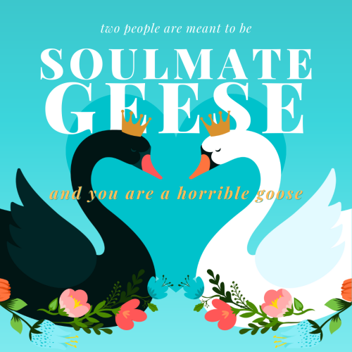  Fic Trope Friday → Soulmate Geese