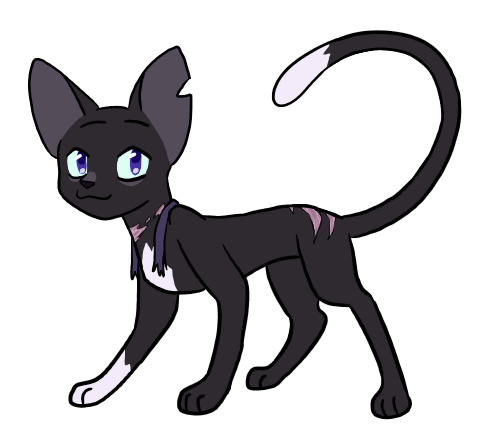 Ravenpaw AU  Warrior Cats🐾🐾 Amino