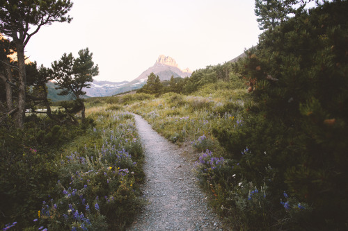 forrestmankins: Yesterday’s sunrise in East Glacier