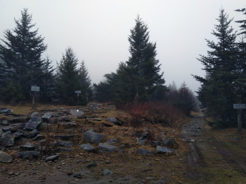 Trail up to Mount Rogers on a cloudy day, December 2019