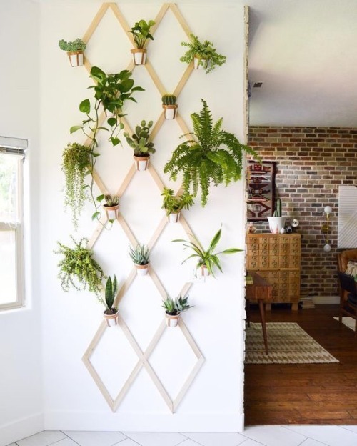 rgfellows - RG Fellows DIY Projects