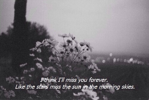 silly-luv:  ♡ find your best posts on my blog ♡