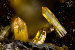 underthescopemineral:  Mimetite Pb5(AsO4)3Cl