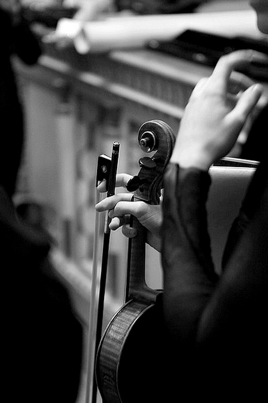 Mute The Silence