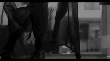 http://lawoai.tumblr.com/post/94741085434