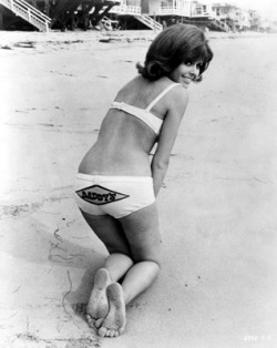 Deborah Walley / IT’S A BIKINI WORLD (1967)