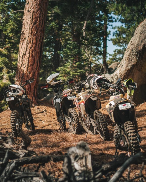 wlfenduro:The productive ‘group thread’ 🤳 #WLFurtherTogether  (at Here, There, Everywhere.)https://www.instagram.com/p/CG2giqwn1MN/?igshid=1uiy3q38pdoxg