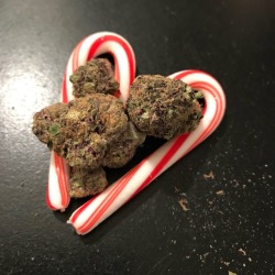 bakedlemonade:  All I want for Christmas is purple kush.