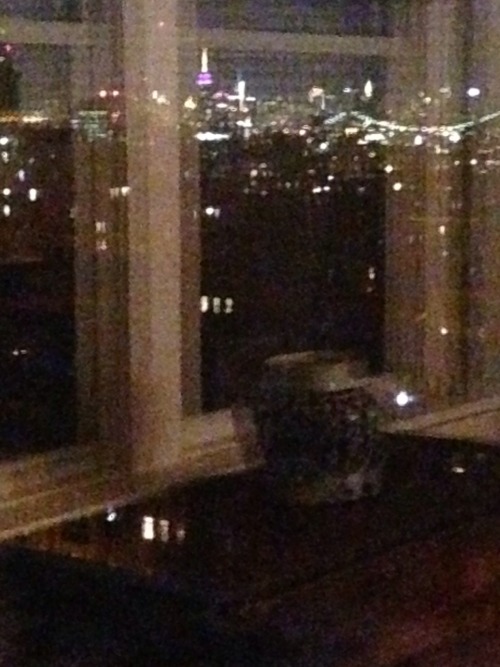 Relaxing day at home and dinner in Brooklyn.
