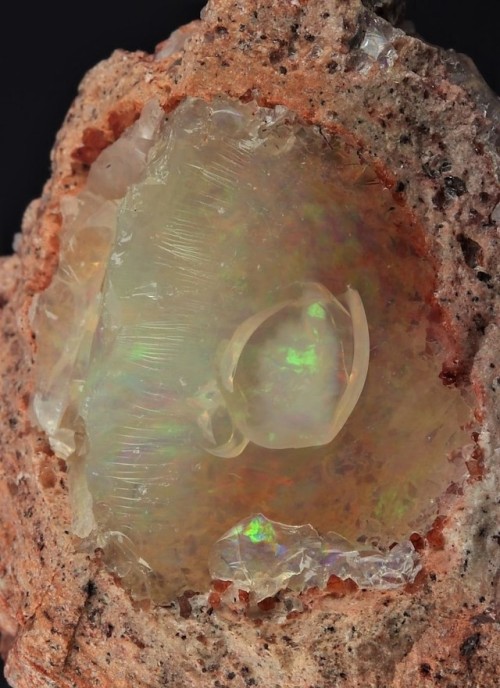 Opal in Rhyolite matrix - Carbonea Mine, La Trinidad, Tequisquiapan, Queretaro, Mexico    