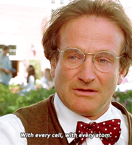 disneyliveaction:Flubber (1997)
