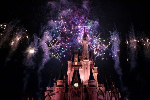 Disney World