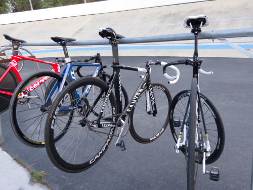 glowingbike: Like: bicyclesarethebest