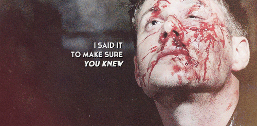  {quote} 