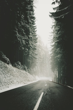 envyavenue:  Winter Season by Daniel Kainz 