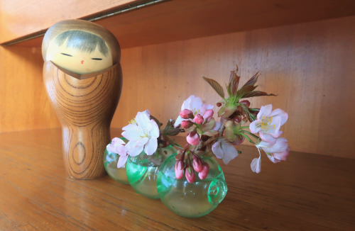 Last Month’s Ikebana - Flowers from the GardenMaking the most of the double-cherry branches br