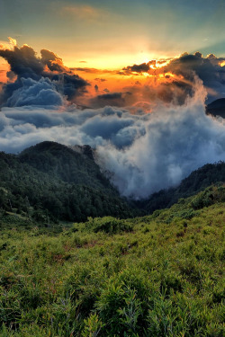 bluepueblo:  Mountain Fog, Taiwan photo via deadwood 