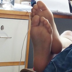 Nylon legs and feet