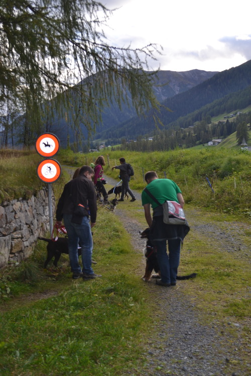 beim Wandern