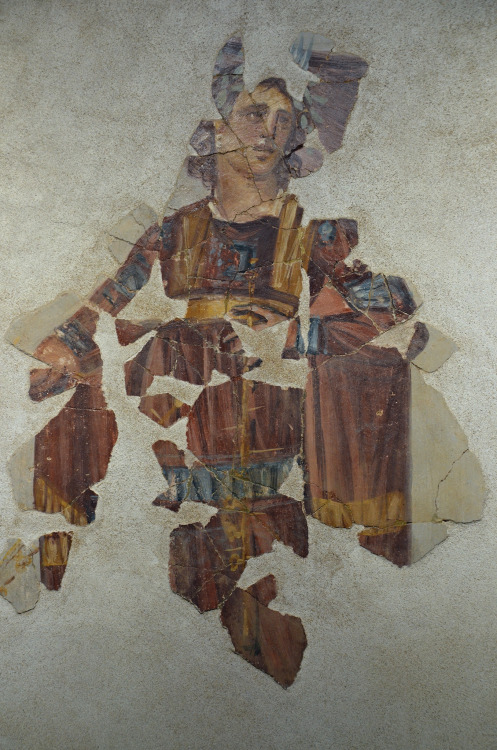 fuckyeahwallpaintings:Wall paintings from the House of Aion at Nea Paphos ,4th Century, today at Pap