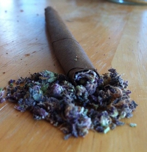 phuckindope:  Phuckindope.tumblr.com 