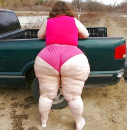atldirtybirdsfan: hardhatjim:   thebigandthebeautiful:   I don’t even know what to say… It’s huge. HUUUUGE!!! Follow The Big and The Beautiful for a steady flow of trashy chubby amateurs.   Grade A Heifer!   Yes 