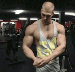 musclepuppysplaypen:  Shoulders + Triceps Day 
