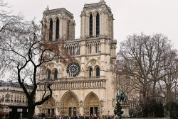 petalier:Notre Dame by DavidPato on Flickr.