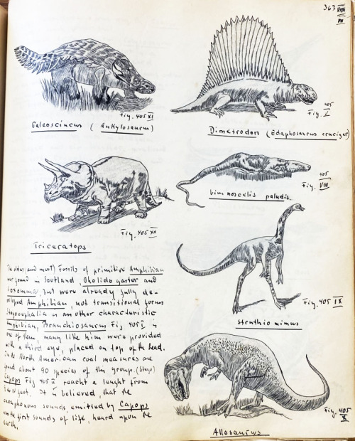 uwmspeccoll: Science Saturday: Evolution ManuscriptThis week we revisit the massive, 11-pound, 650-p