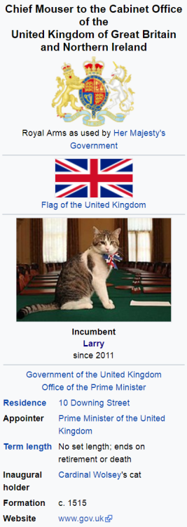 enrique262: Well then, would you look at that! The cat that lives in 10 Downing Street, headquarters