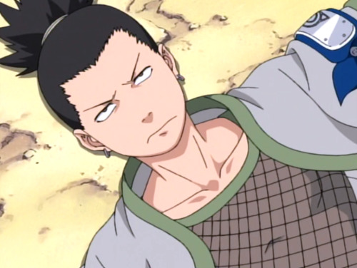 mermaid613:“YEEEAAHHH SHIKAMARU YOU CAN DO IT!!!!!!”