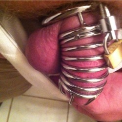 letmeout11:  huntingtonsilver:  Hey there. I’m a chastity newb. I Like your blog. vbmike  I have that cage.  I’m on day 3.  And it’s Easter.  So tonight will be a fun holiday sex night and I’m sure I’m not getting out to cum.  But I know I’ll