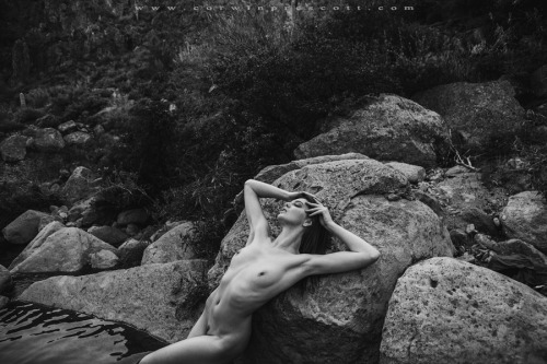 corwinprescott: “Into The Wild”2013I’ve always been a fan of fall.  The temperature fin