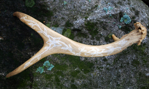 sjcart:  Natural shed stained with black tea and hand-carved. For sale on etsy! 